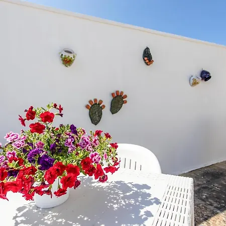 Center House Guest house